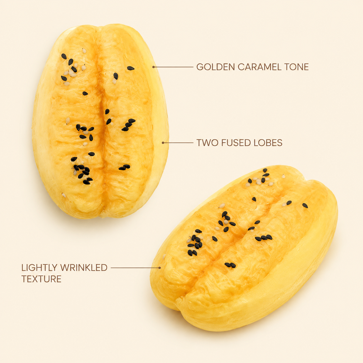 Youtiao toy golden tone fused lobes and wrinkled texture