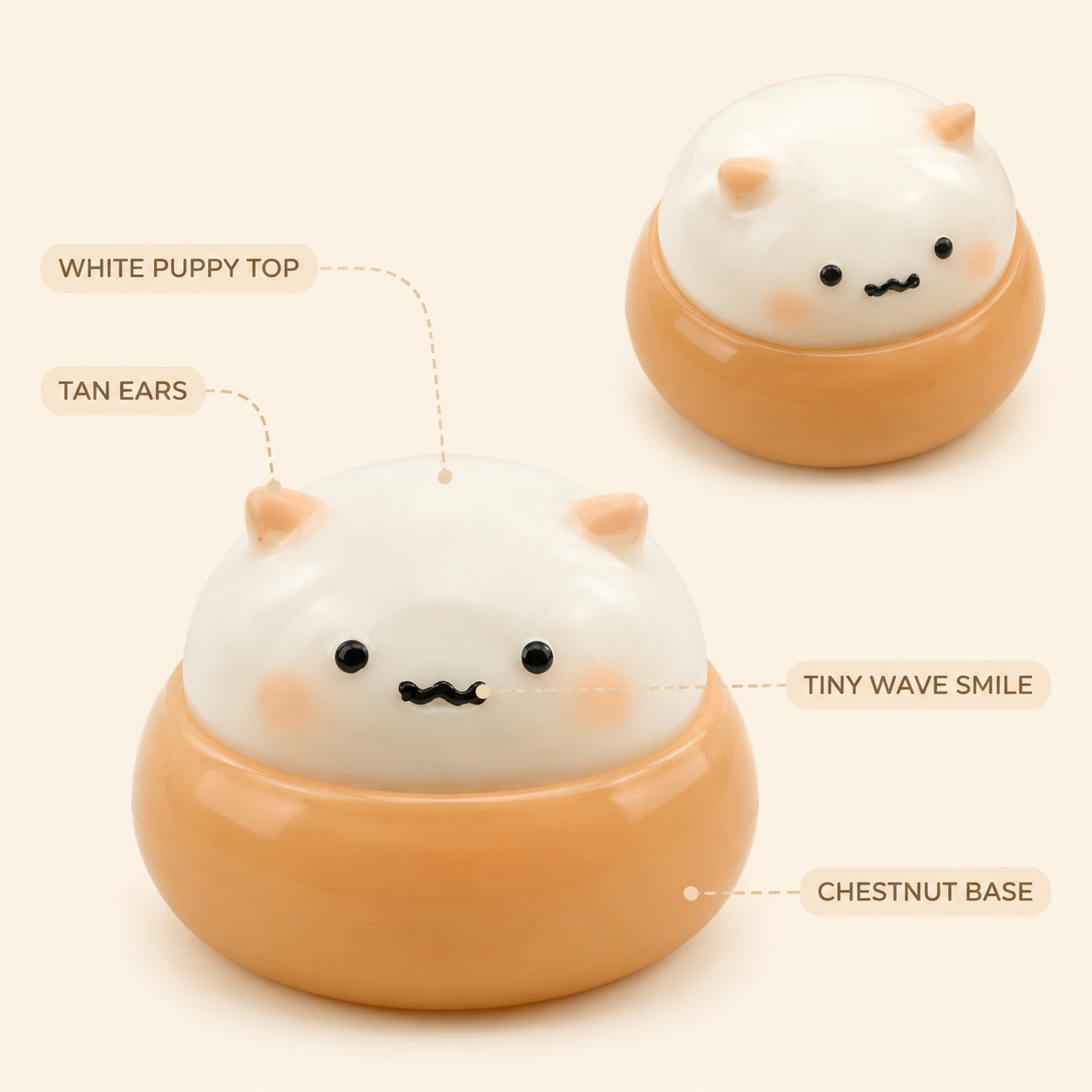 Chestnut puppy two-tone design and face details
