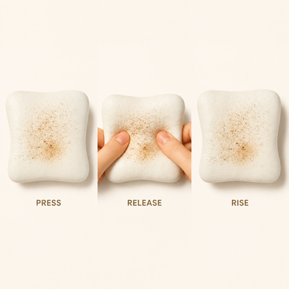 Cream-cheese toast squishy press release and rise action guide