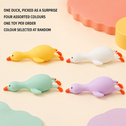 Assorted long-neck duck colours selected at random