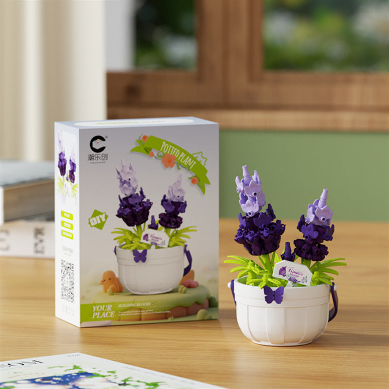 Hyacinth boxed building kit