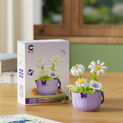 Daisy boxed building kit