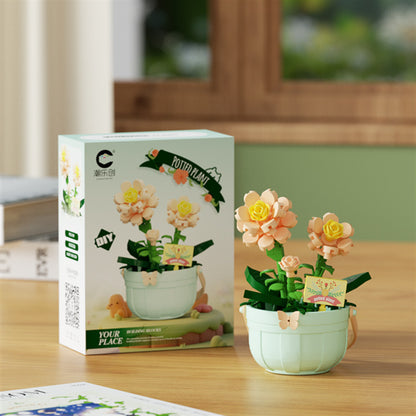 Hibiscus boxed building kit