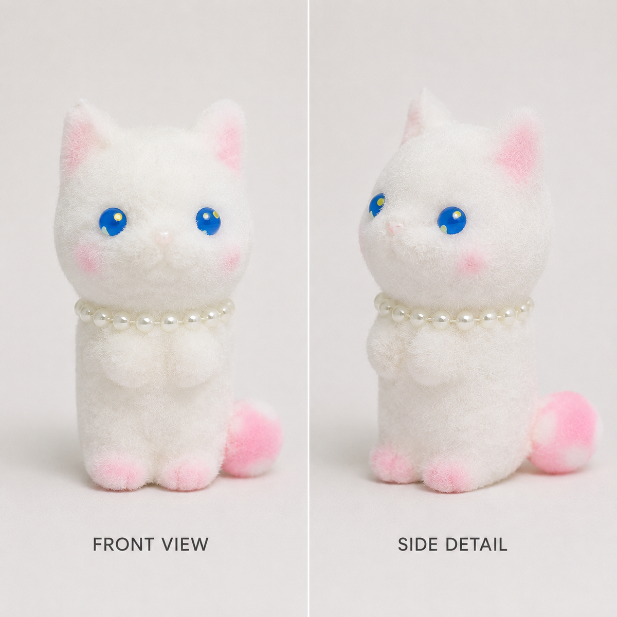 White playful cat front view and side detail